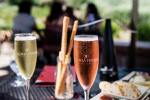 法甲联赛二十九号，是谁的精彩表现？法甲联赛二十九号是谁的