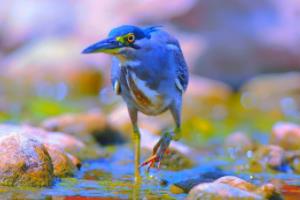 法甲联赛有梅西嘛？对比巴萨，分析法甲的真正黄金时刻法甲联赛有梅西嘛知乎