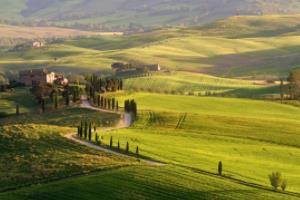 抖音手游篮球联赛主播,从游戏到直播的完美结合抖音手游篮球联赛主播